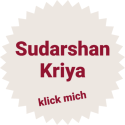 Joyasan Sudarshan Kriya